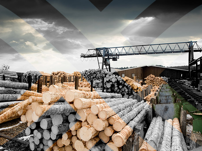 GridBeyond's Wood and paper Industry GridBeyond works with wood and paper mills