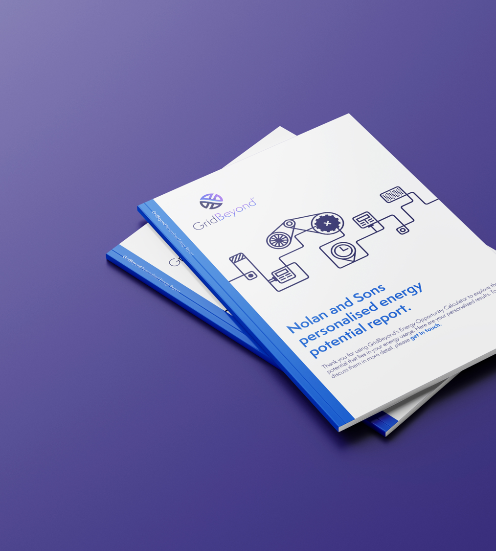 Report Mockup Report Mockup